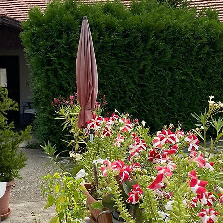 Hotel Mandula Haz Veszprém Zewnętrze zdjęcie