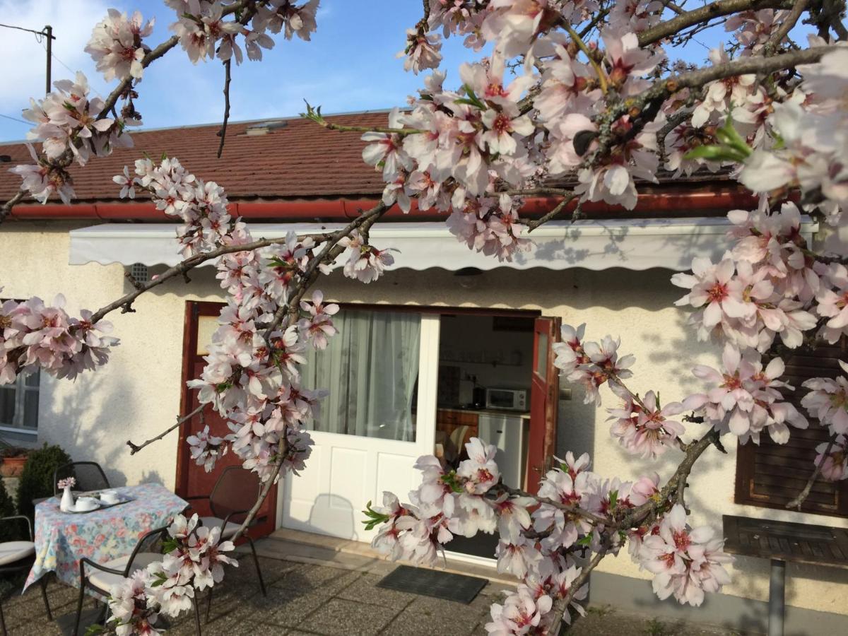 Hotel Mandula Haz Veszprém Zewnętrze zdjęcie